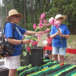Picture 6 Brenda (Lundstrom) Langhorn, Sherry (Power) Walkley